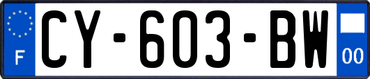 CY-603-BW