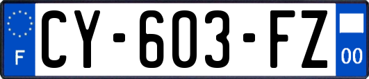 CY-603-FZ