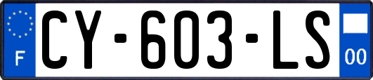 CY-603-LS