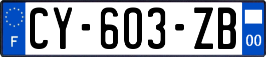 CY-603-ZB