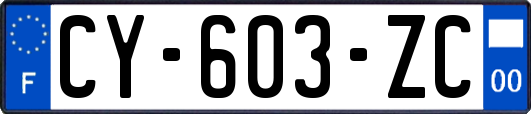 CY-603-ZC