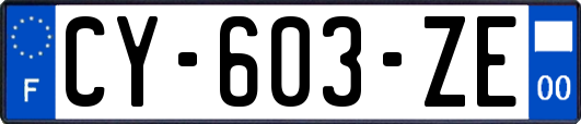 CY-603-ZE