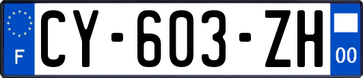 CY-603-ZH