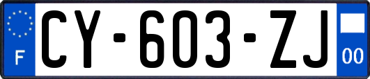 CY-603-ZJ