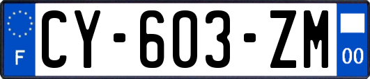CY-603-ZM