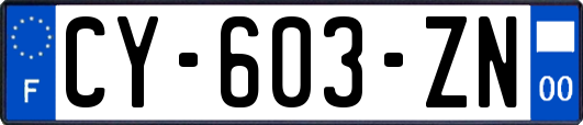 CY-603-ZN