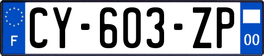 CY-603-ZP