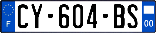 CY-604-BS