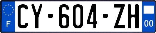 CY-604-ZH