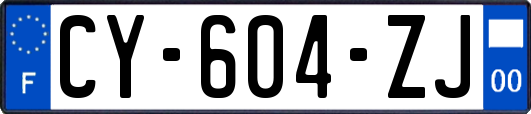 CY-604-ZJ