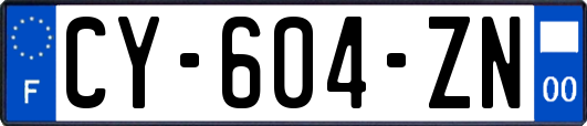CY-604-ZN