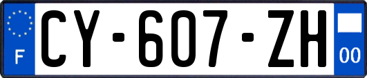 CY-607-ZH