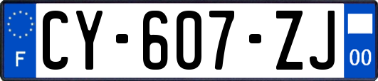 CY-607-ZJ