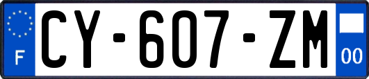 CY-607-ZM