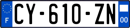 CY-610-ZN