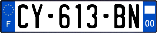 CY-613-BN