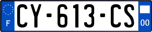 CY-613-CS
