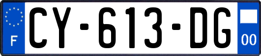 CY-613-DG