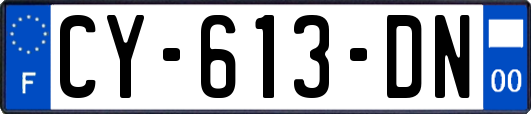 CY-613-DN