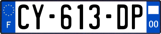 CY-613-DP
