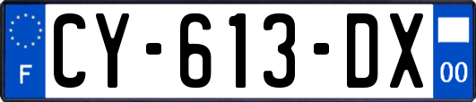 CY-613-DX