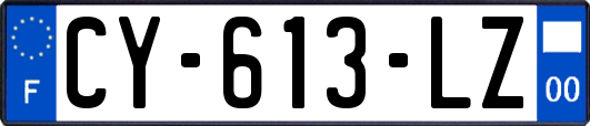 CY-613-LZ