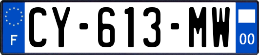 CY-613-MW