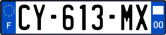 CY-613-MX