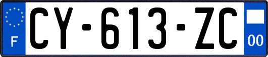 CY-613-ZC