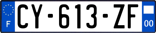 CY-613-ZF