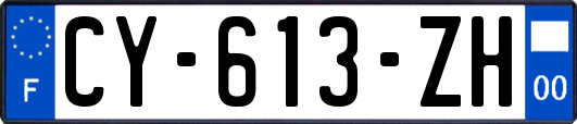 CY-613-ZH