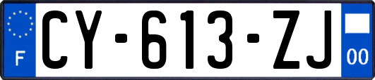 CY-613-ZJ