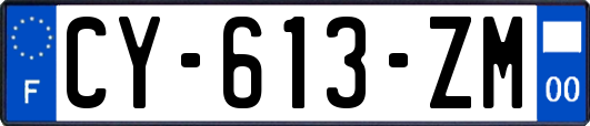 CY-613-ZM