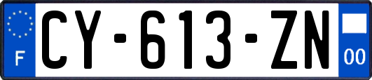 CY-613-ZN
