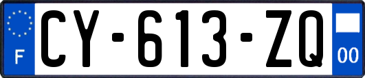 CY-613-ZQ