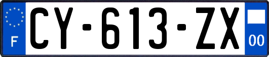 CY-613-ZX