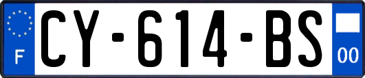 CY-614-BS