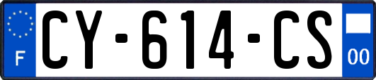 CY-614-CS