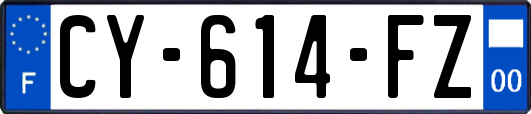 CY-614-FZ