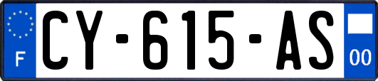 CY-615-AS