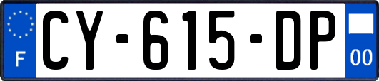 CY-615-DP