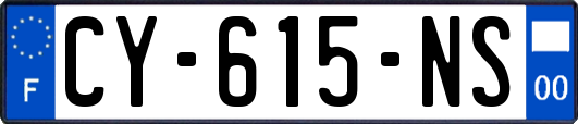 CY-615-NS