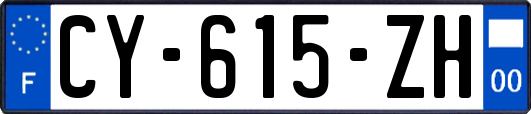 CY-615-ZH