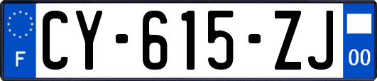 CY-615-ZJ