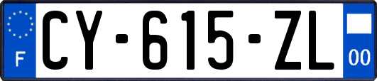 CY-615-ZL