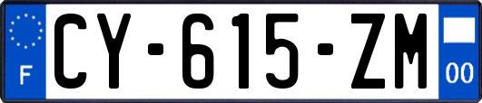 CY-615-ZM