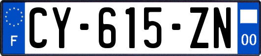 CY-615-ZN