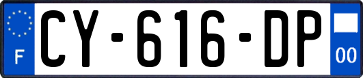 CY-616-DP
