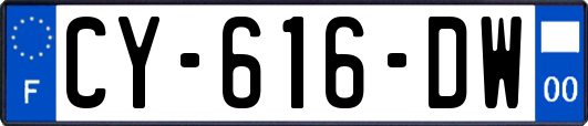 CY-616-DW