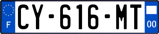 CY-616-MT